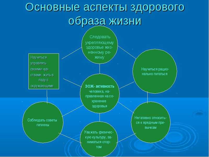 Основные условия жизни. Основные аспекты здорового образа жизни. Ключевые аспекты здорового образа жизни. Аспекты формирования здорового образа жизни. Главные аспекты здорового образа жизни.