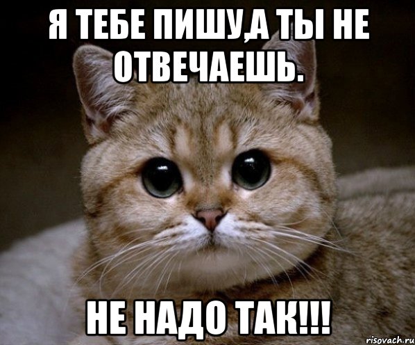 Не раз не должен. Ты мне не отвечаешь. Если ты мне не ответишь. Почему ты не отвечаешь. Почему не отвечаешь картинки.