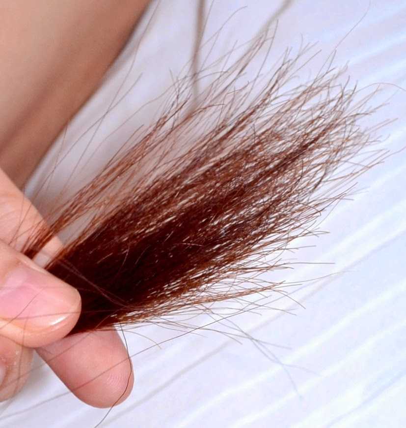 Восстановление кончиков волос