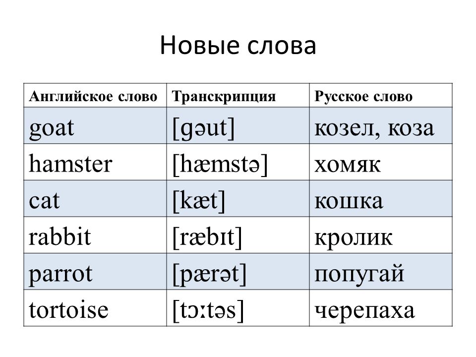 Транскрипция английских слов онлайн с переводом на русский и произношением 3 класс по фото бесплатно