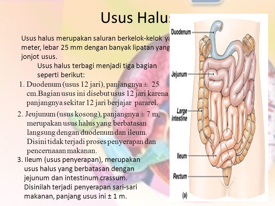 Usus magister est. Узус.