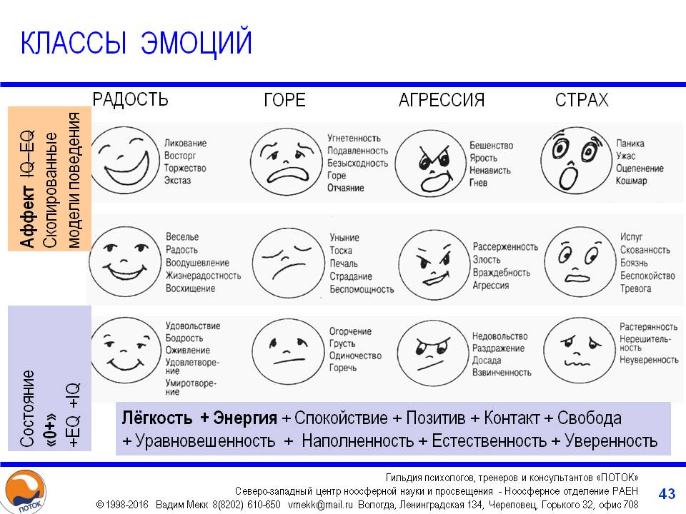 Схема чувств и эмоций человека