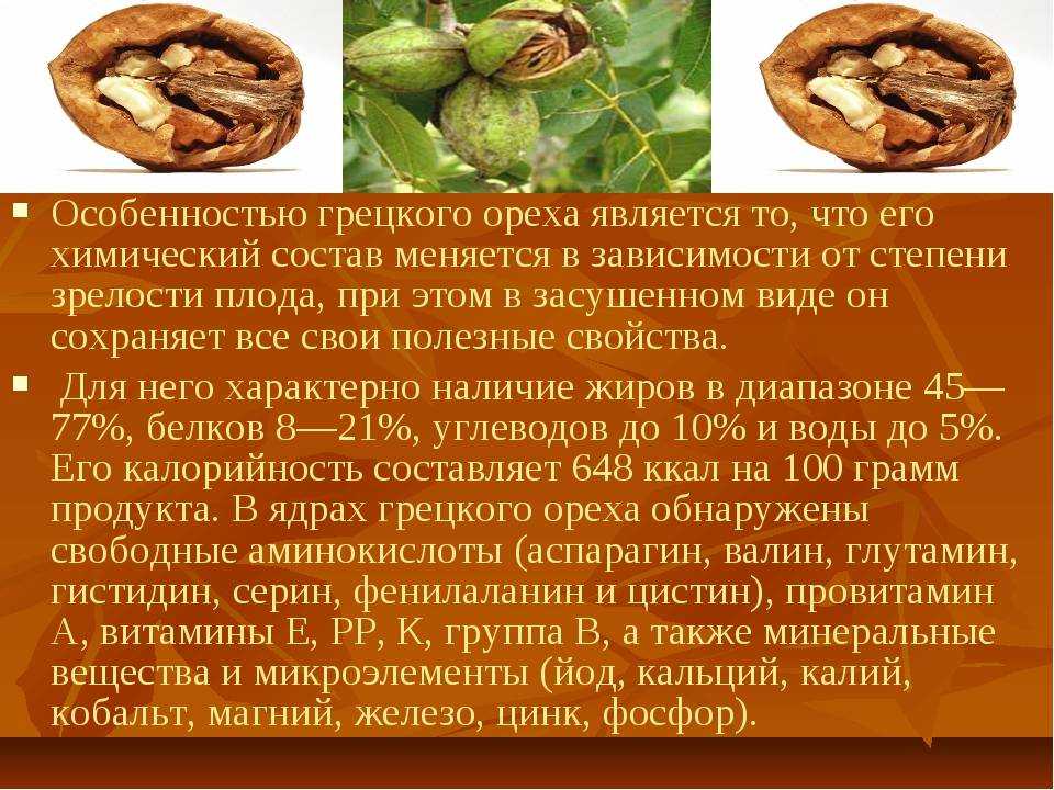 Свойства скорлупы грецкого ореха. Грецкий орех микроэлементы. Что содержится в грецких орехах. Полезные вещества в грецких орехах. Грецкий орех витамины и минералы.