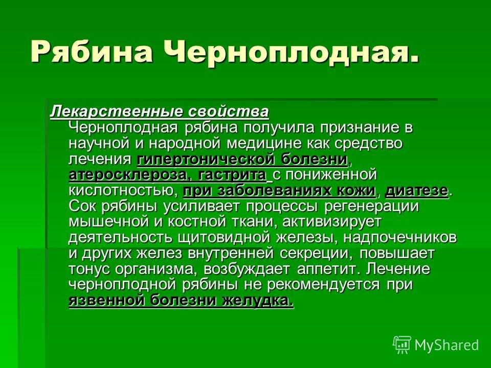 Полезные свойства черноплодной