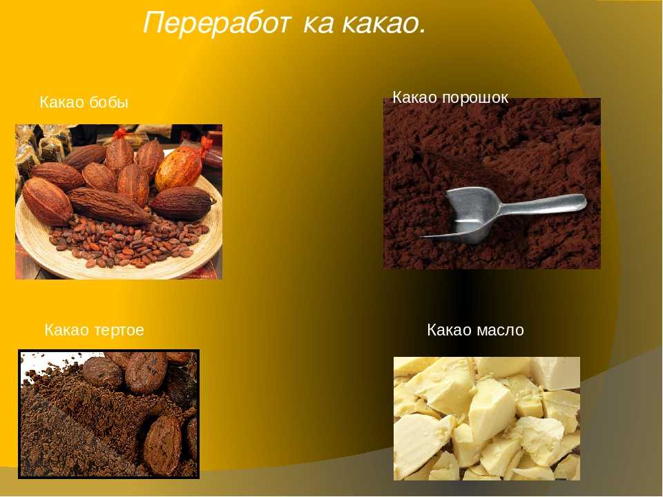 Возьми масла какао. Продукция из какао бобов. Продукты из какао бобов. Какао Бобы виды. Производство какао.