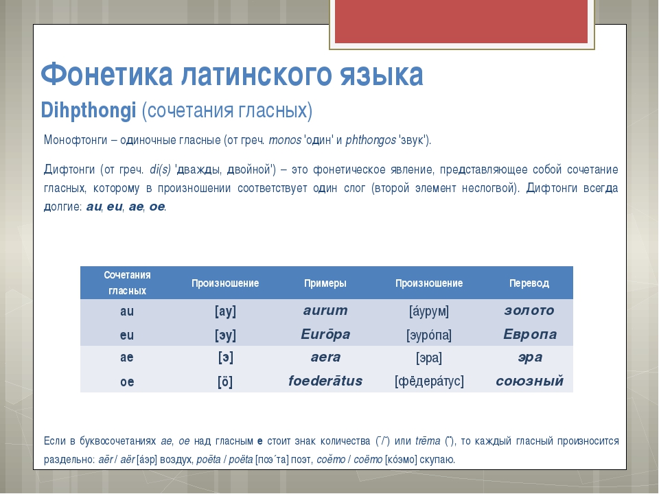 Латинские правила. Гласные в латинском языке. Дифтонги в латинском языке. Чтение латинских дифтонгов. Фонетика латинского языка.