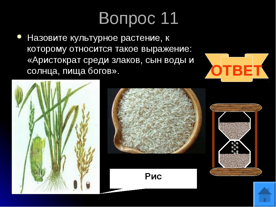 Изменить словосочетание по образцу сахар из тростника