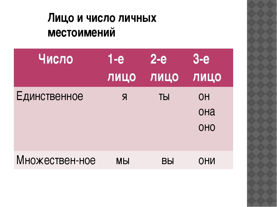 2 лицо. Лицо и число местоимений. Число в русском языке. Число местоимений. Лица и числа.