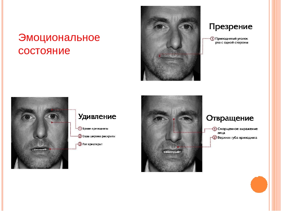 Проанализируйте изображения как можно по мимике лица понять эмоциональное состояние ответы