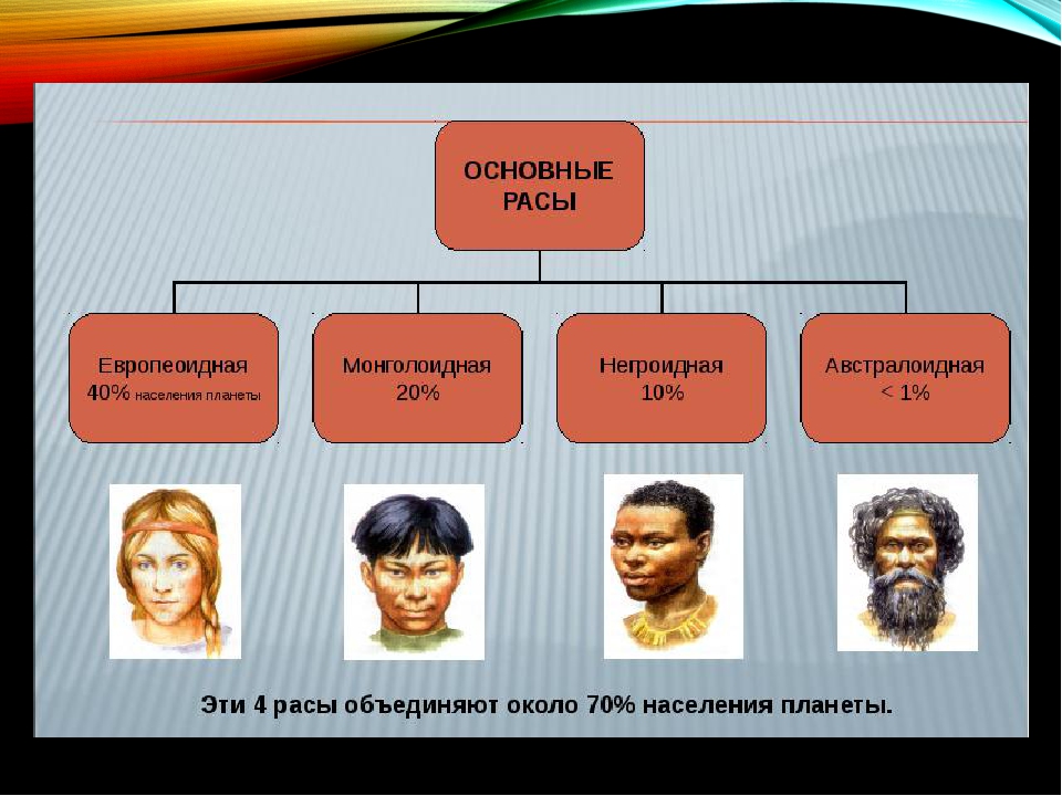 Биологические и социальные свойства этноса