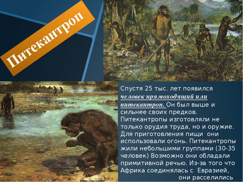 Первый человек какой год. Как появился человек на земле 5. Человек как человек появился на земле. История первые люди на земле. Сообщение откуда появился человек.