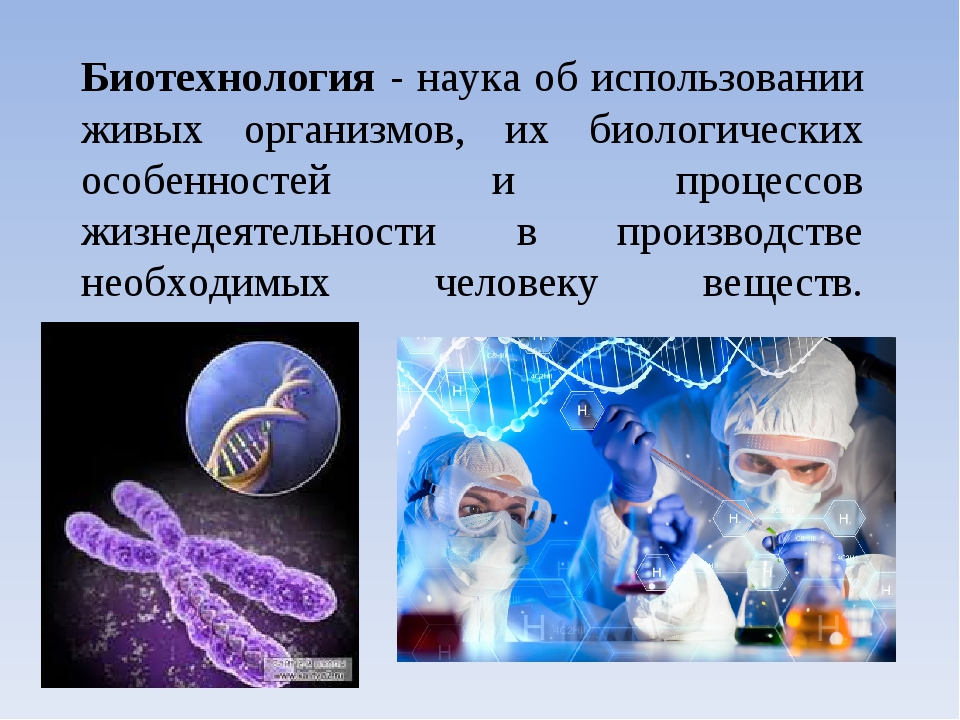 Живые системы биология. Биотехнология презентация. Современные достижения биотехнологии. Биотехнология это наука. Презентация на тему биотехнология.