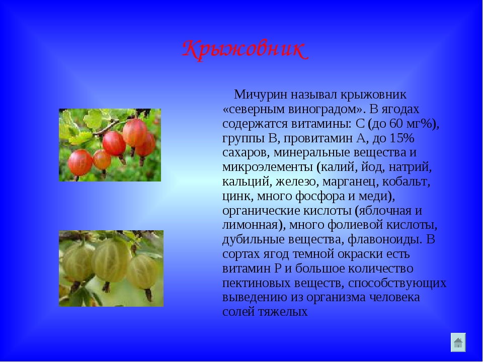Какие витамины в крыжовнике. Загадка про крыжовник. Крыжовник витамины и микроэлементы. Ягода крыжовник витамины. Какую ягоду называютсеаерным виноградом.