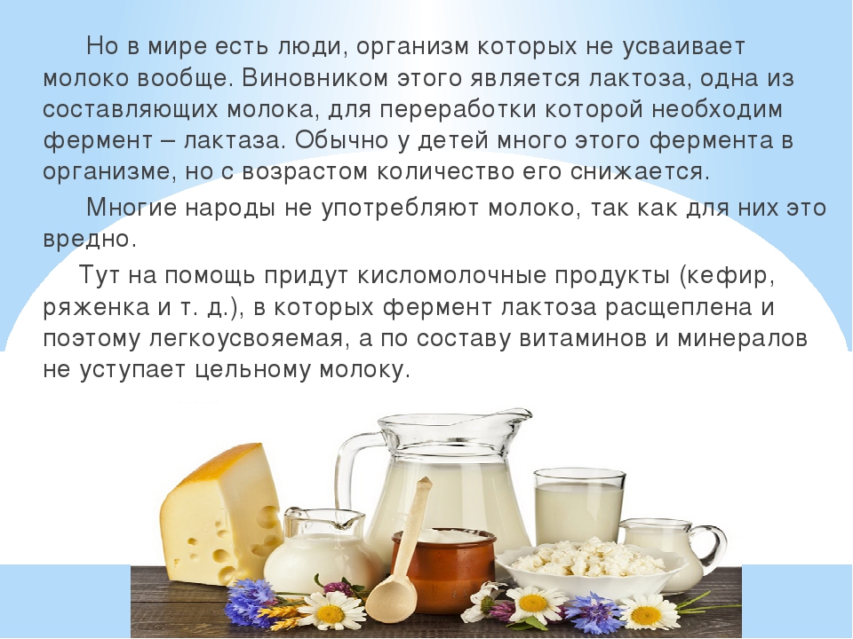 Сколько выпивает молока. Не усваивается лактоза. Усваивается молоко в организме. Молоко не усваивается в организме. В пищу употребляют молоко.