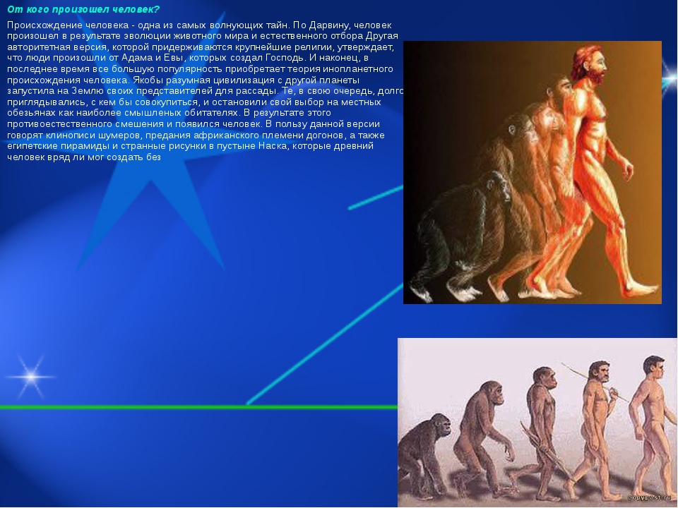 Правда ли что люди произошли от обезьян. От кого произошли люди. Открго произошел человек. От когтпроизошел человек. От когопроизошол человек.