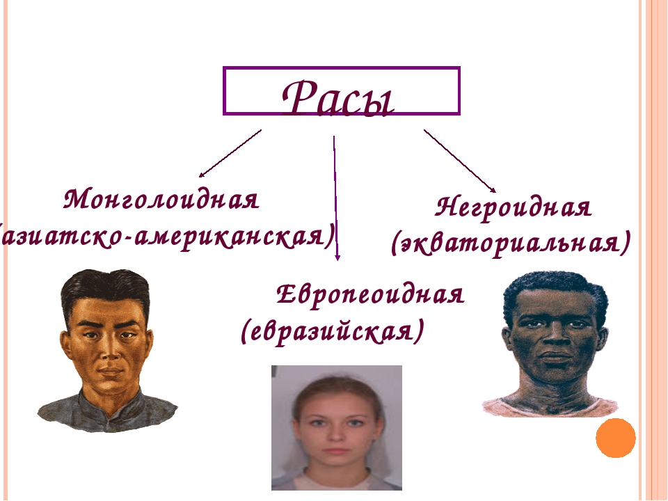 Расы человека презентация 8 класс