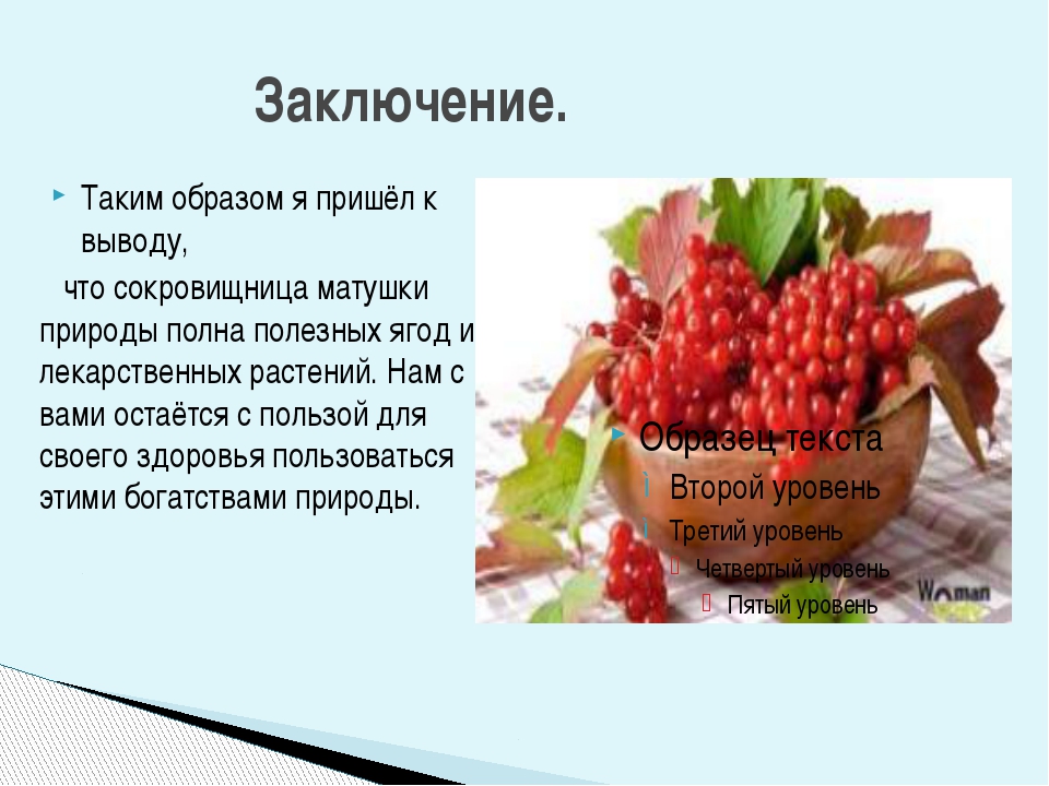 Чем полезна калина. Калина полезные и вредные. Полезные и лечебные свойства калины. Калина полезные свойства. Калина ягода полезные свойства.