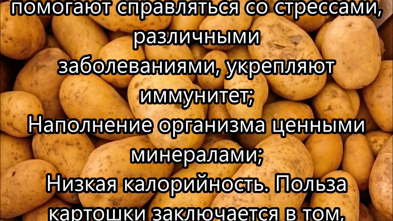 Чем полезна картошка. Картошка вредно. Картошка польза и вред. Вред картофеля для организма. Вред картошки.