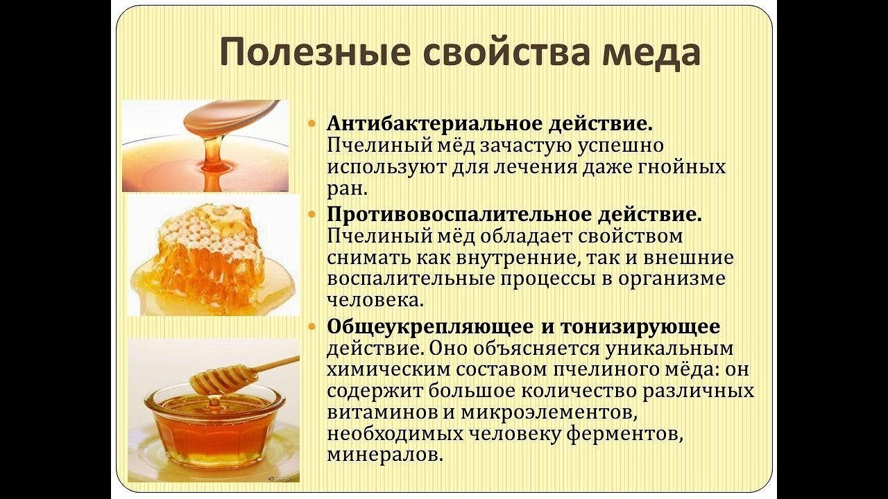 Польза меда для здоровья. Полезные свойства меда. Буклет про мед. Чем полезен мед для организма. Полезные свойства меда кратко.