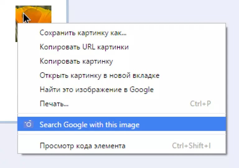 Url изображение что это