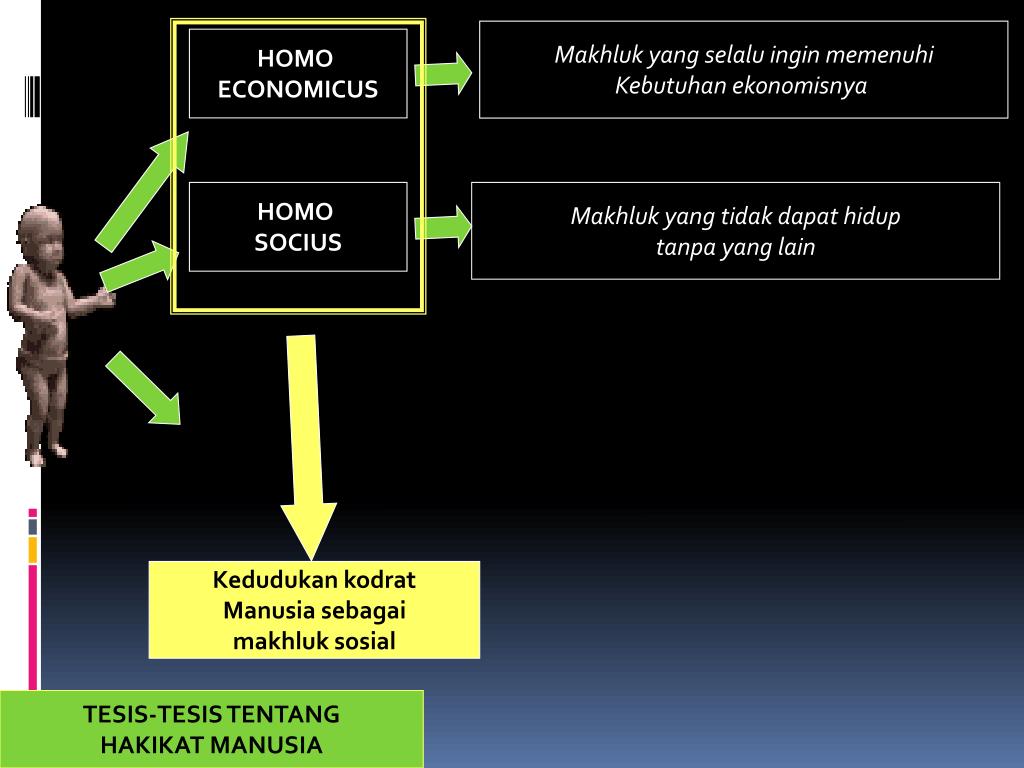 Homo economicus. Модель homo economicus. Homo economicus презентация. Homo socialis, economicus (социальный, экономический). Homo economicus книга.