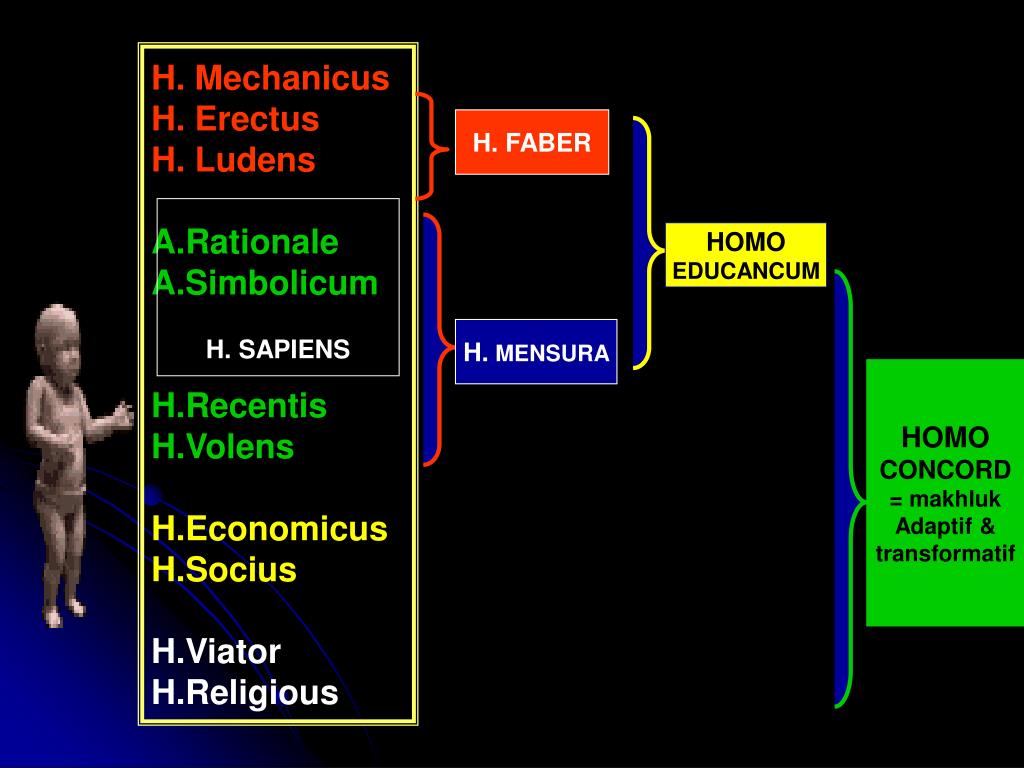 Homo economicus. Homo economicus презентация. Таблица homo economicus. Модусы человеческого существования homo Ludens Natura. Модель «хомо Экономикус»..