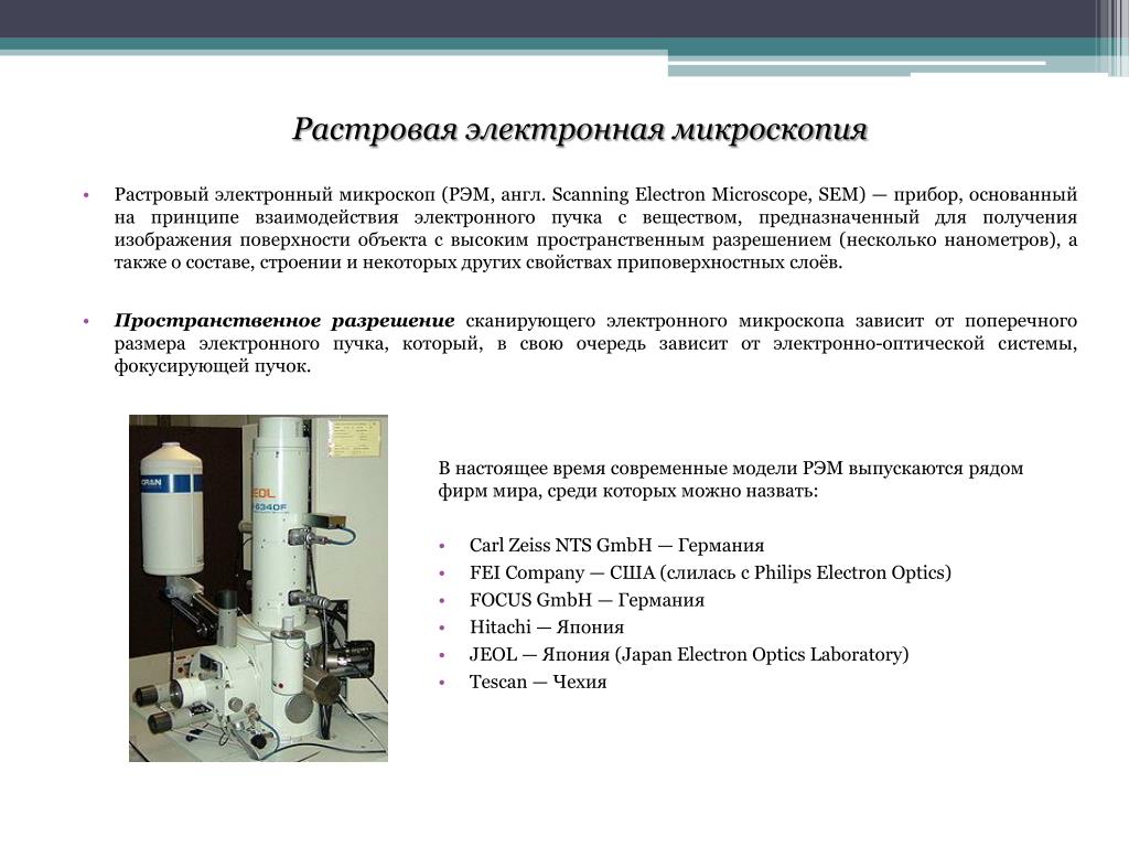 Преимущество использования световой микроскопии перед электронной. Растровый электронный микроскоп (Рэм). Растровый (сканирующий) электронный микроскоп (Рэм). Разрешение сканирующего электронного микроскопа. Растровая электронная микроскопия (Рэм).