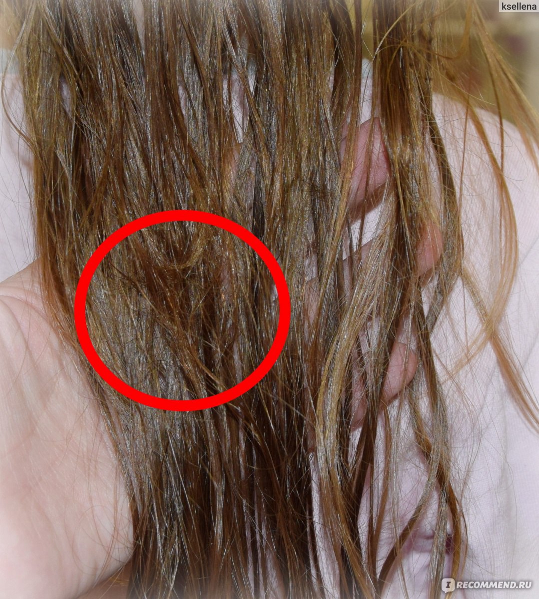 Почему выпадают волосы при мытье головы. Норма выпадения волос. Норма выпадения волос после мытья головы. Расчесывать волосы. Норма выпавших волос при мытье головы у женщин.