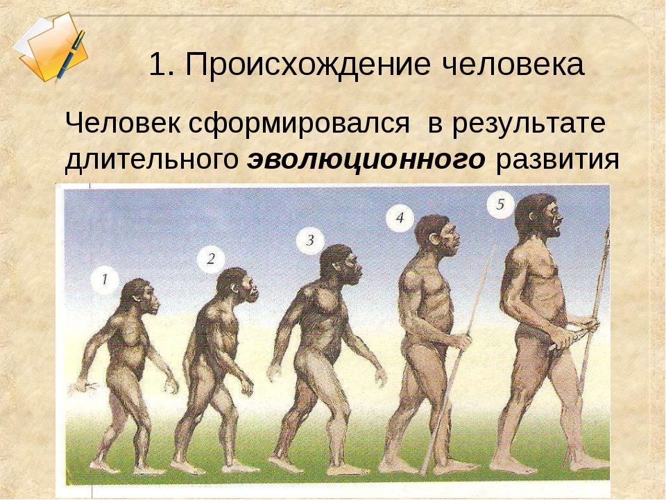 Происхождение человека вопросы и ответы. 1. Происхождение человека. Период появления человека. История развития человечества. Возникновение человека период.