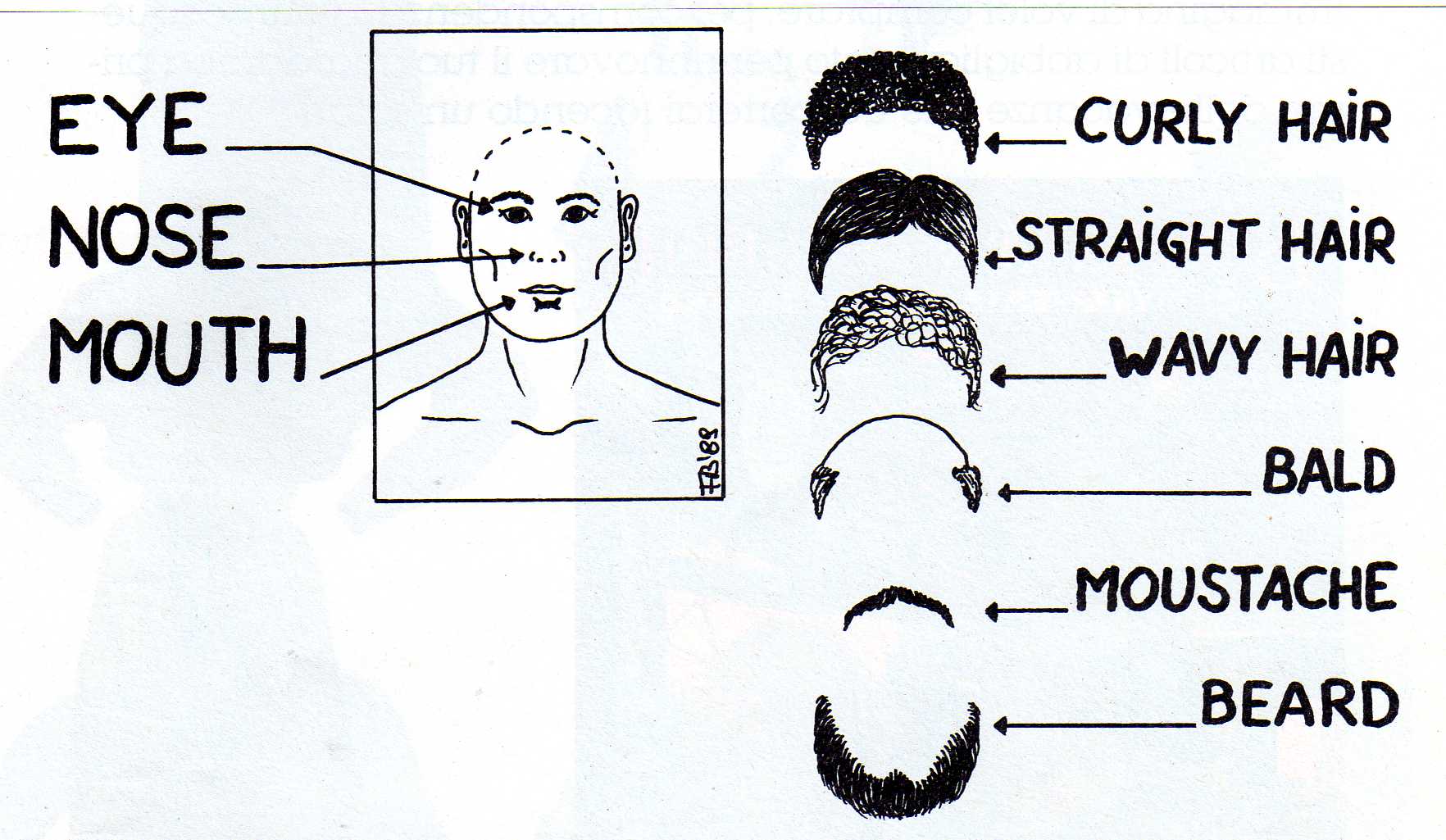 Moustache перевод