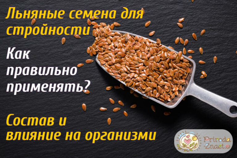 Семена для похудения и очищения