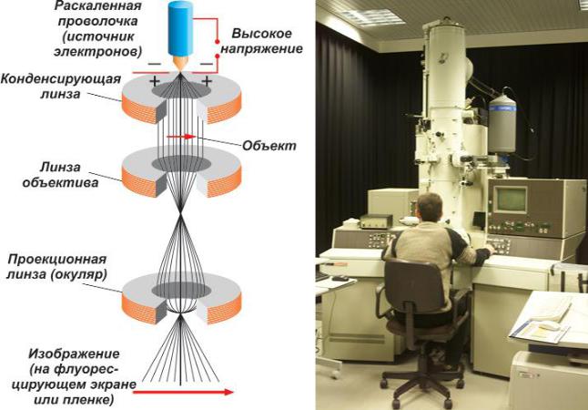 Просвечивающая электронная микроскопия. Сканирующая и просвечивающая электронная микроскопия. Растровый просвечивающий электронный микроскоп (Пэм). Электронный просвечивающий микроскоп эм8. Просвечивающая электронная микроскопия схема.