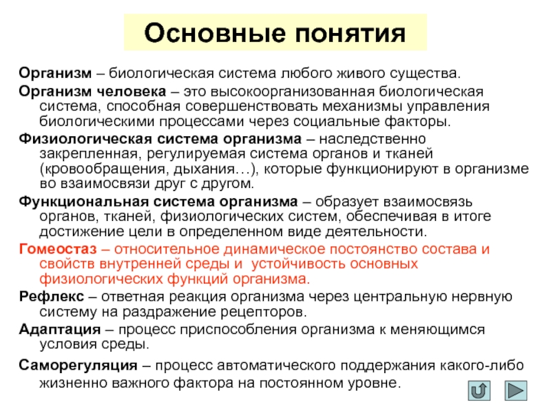 Основные функции организма. Основные понятия организм. Основные физиологические функции организма человека. Основные системы жизнедеятельности организма человека.