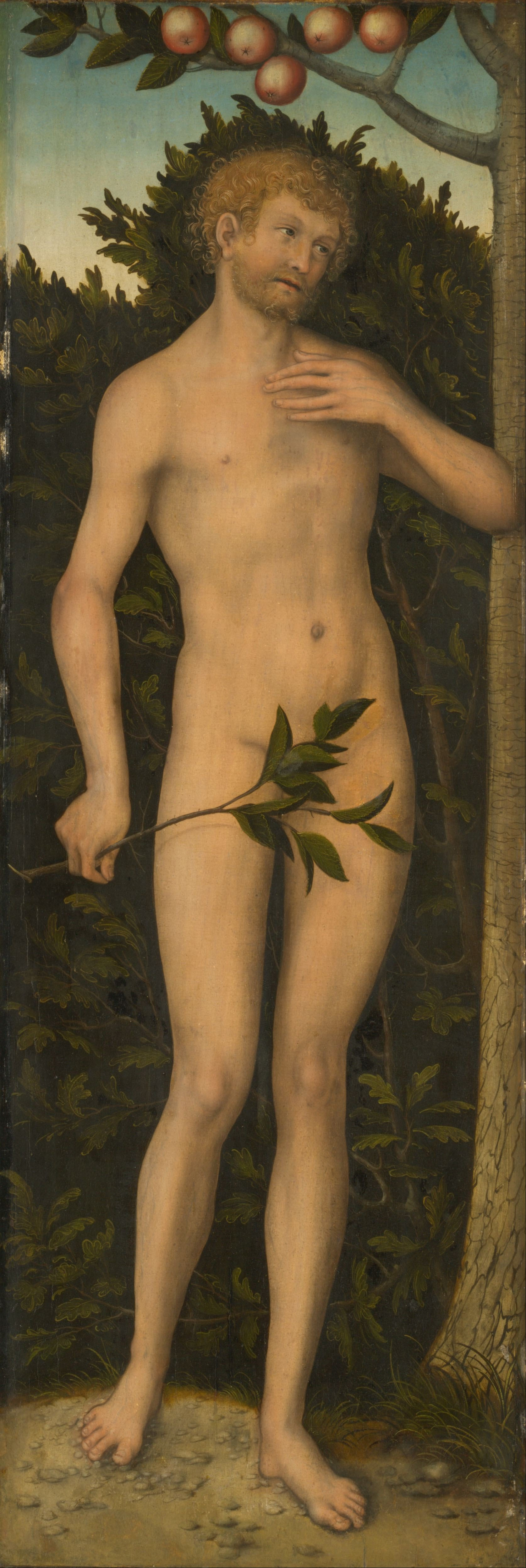 Лукас кранах «адам и ева», 1526.